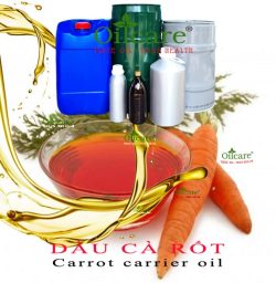 Dầu cà rốt carrot base oil bán sỉ lít kg buôn giá rẻ