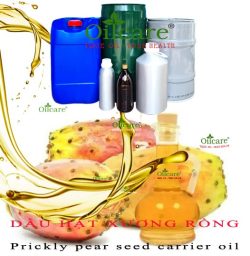 Dầu hạt xương rồng prickly pear seed oil bán sỉ lít kg buôn giá rẻ