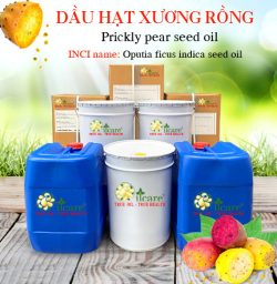 Dầu hạt xương rồng prickly pear seed oil bán sỉ lít kg buôn giá rẻ