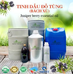 Tinh Dầu Đỗ Tùng (Bách xù) Giá Sỉ