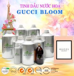 Tinh dầu nước hoa “GỐC” GUCCI BLOOM pháp giá sỉ bán buôn theo lít mua ở đâu