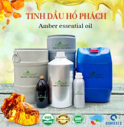 Tinh dầu hổ phách amber oil giá sỉ bán lít kg buôn rẻ mua ở đâu