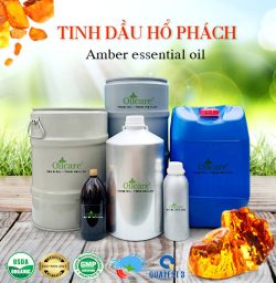 Tinh dầu hổ phách amber oil giá sỉ bán lít kg buôn rẻ mua ở đâu