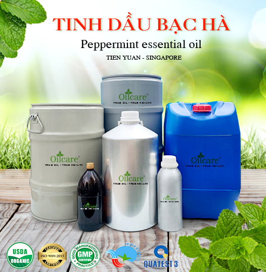 Tinh dầu bạc hà singapore giá sỉ bán kg lít buôn rẻ mua ở đâu