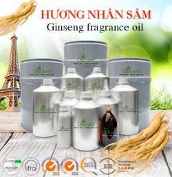 Hương nhân sâm bán giá sỉ lít kg buôn rẻ mua ở đâu