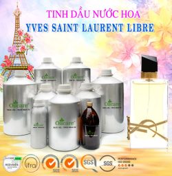 Tinh dầu nước hoa “GỐC” YVES SAINT LAURENT LIBRE bán buôn lít kg sỉ rẻ mua ở đâu