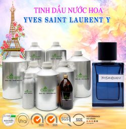 Tinh dầu nước hoa “GỐC” YVES SAINT LAURENT Y bán sỉ giá rẻ lít kg