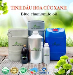 Tinh dầu cúc xanh Blue chamomile oil bán sỉ buôn lít kg giá rẻ