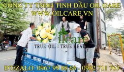 BẢNG GIÁ SỈ DẦU NỀN NGUYÊN LIỆU MỸ PHẨM THIÊN NHIÊN 2025 – GIAO SỐ LƯỢNG LỚN TOÀN QUỐC